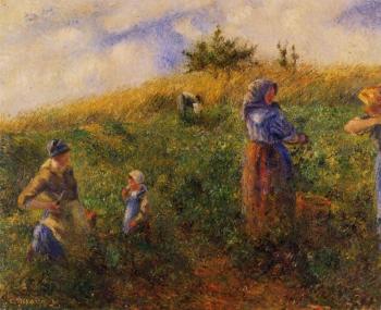 Camille Pissarro : Picking Peas